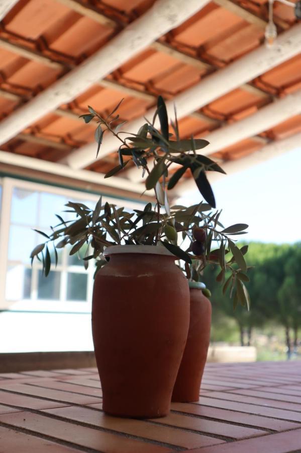 Monte Santo Villa Montargil Exterior foto